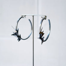Load image into Gallery viewer, Flock earrings